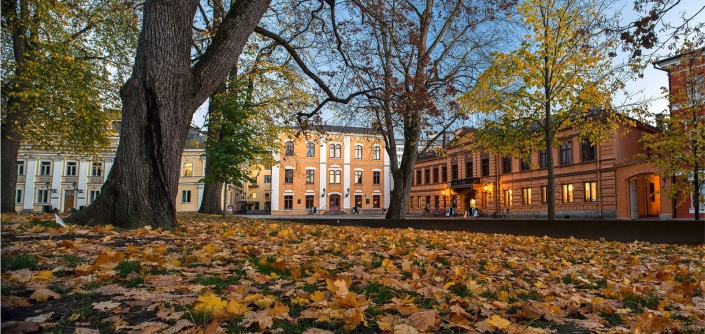 Tietoa taidehallista