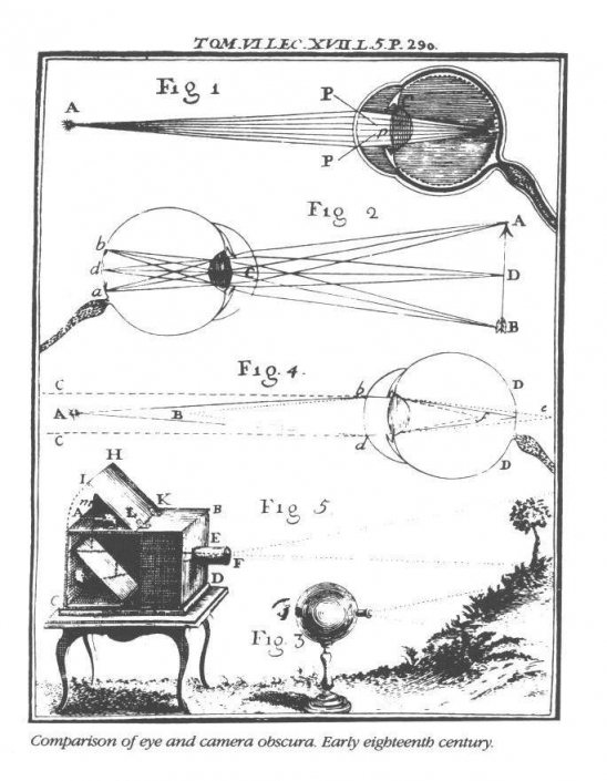 65261127_1800203603458372_2043708605244375040_n